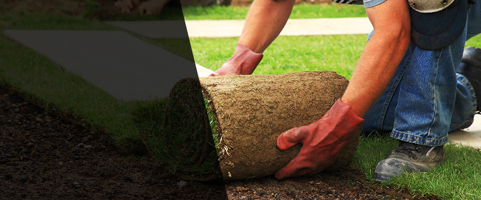 Saint Cloud Landscapers
